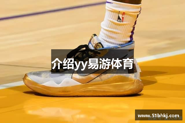 介绍yy易游体育